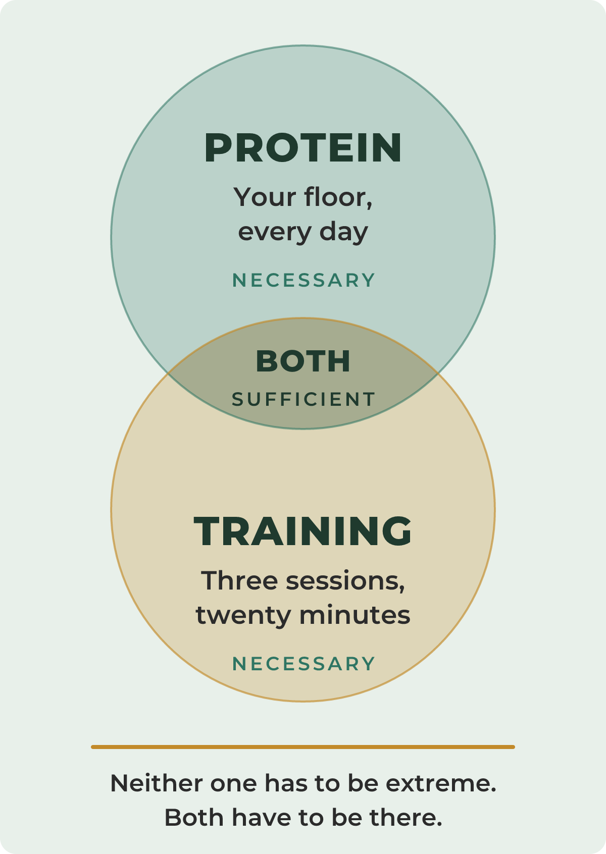 Protein and training shown as two overlapping circles. Each is labelled necessary on its own; the overlap is labelled sufficient.