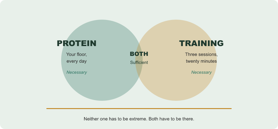 Protein and training shown as two overlapping circles. Each is labelled necessary on its own; the overlap is labelled sufficient.