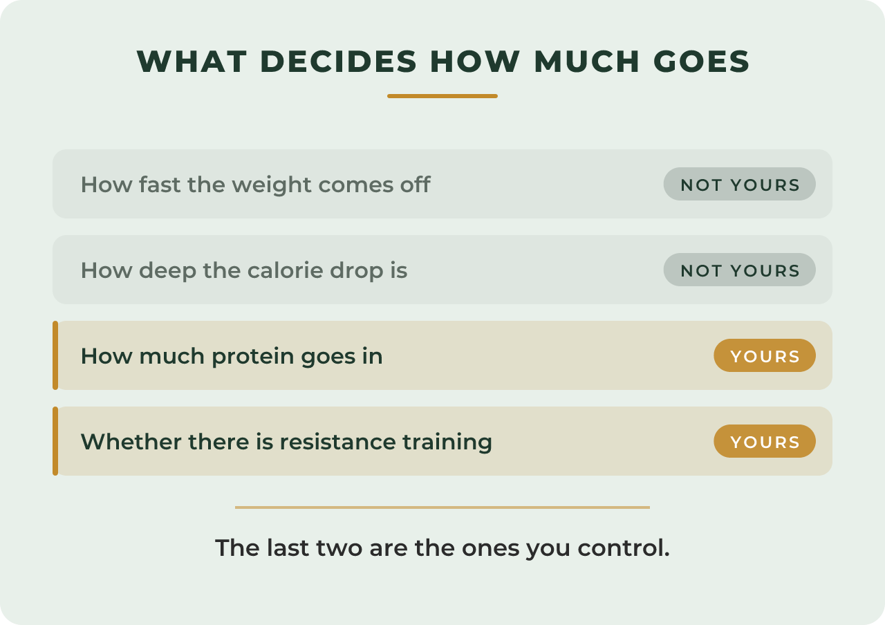 Four levers that determine how much lean mass is lost: the rate of loss, the depth of the calorie drop, protein intake, and resistance training. The last two are marked as hers.